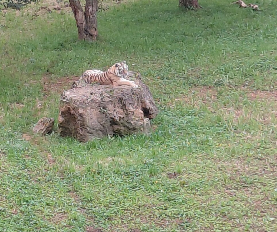 Parque de la Naturaleza de Cabarceno-Obregon必去景点