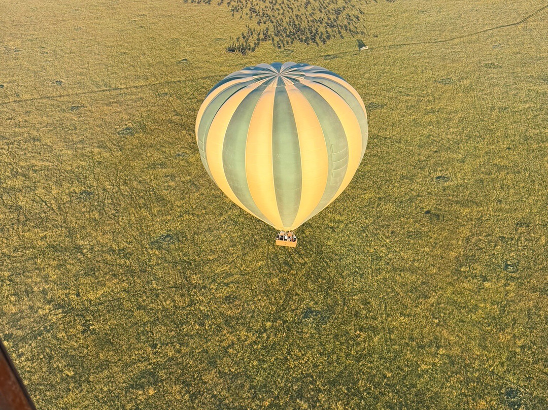 Hot Air Safaris-马赛马拉国家野生动物保护区必去景点