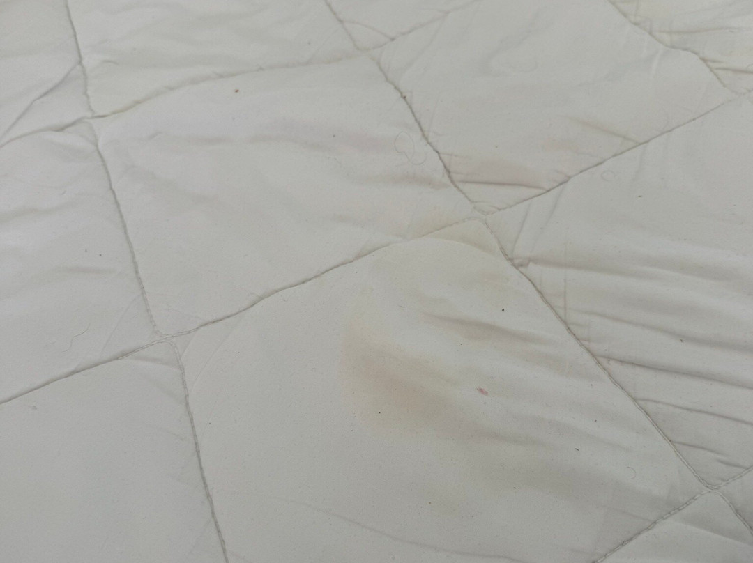 阿蕾佳依玛莉娜住宅酒店主图