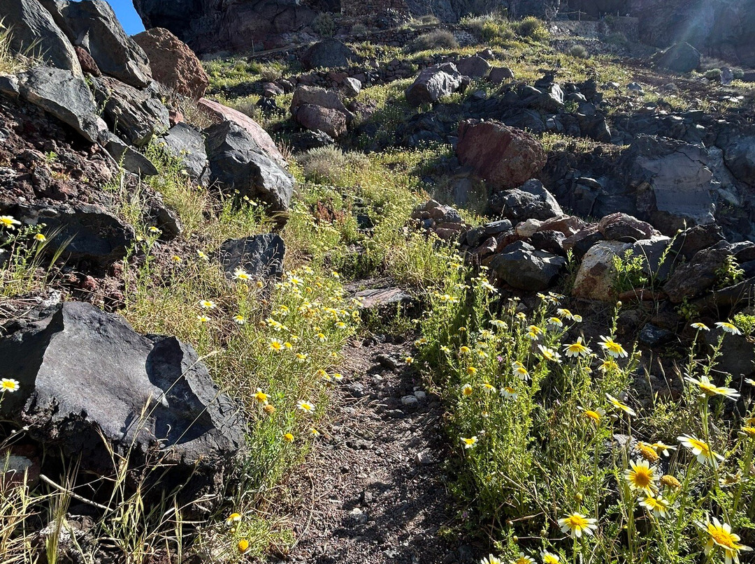 Skaros岩石-伊莫洛维里必去景点