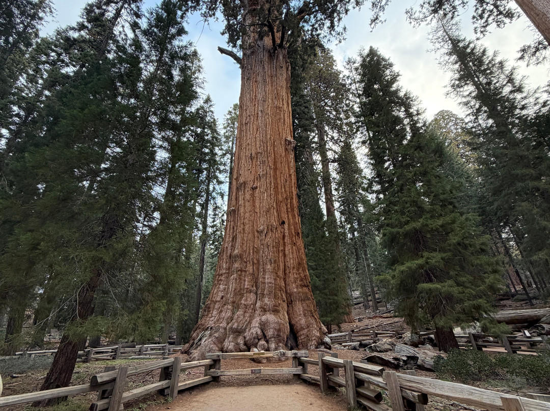 沃克萨奇村小屋酒店主图