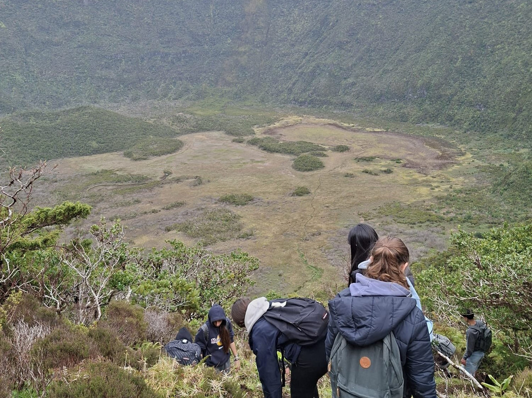 Endemic Azores-奥尔塔必去景点