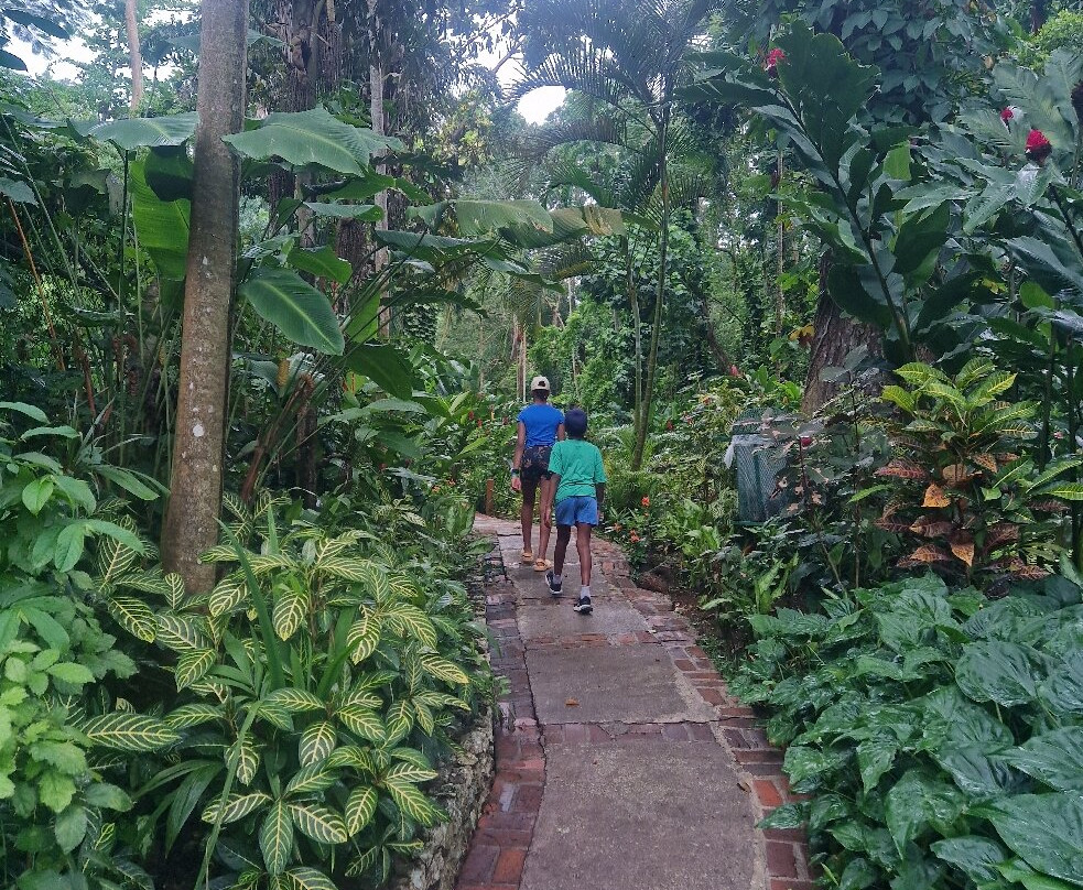 Konoko Falls & Park-奥乔里奥斯必去景点