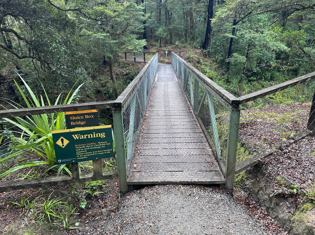 Lake Daniell Track-Springs Junction必去景点