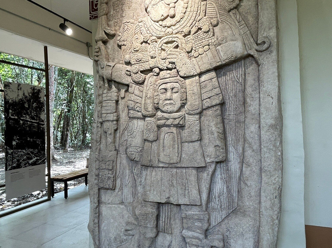 Reserva de la Biosfera de Calakmul-卡拉克穆尔必去景点