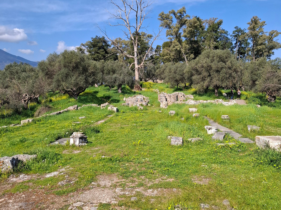 Archaeological Site of the Acropolis of Sparta-Sparta必去景点