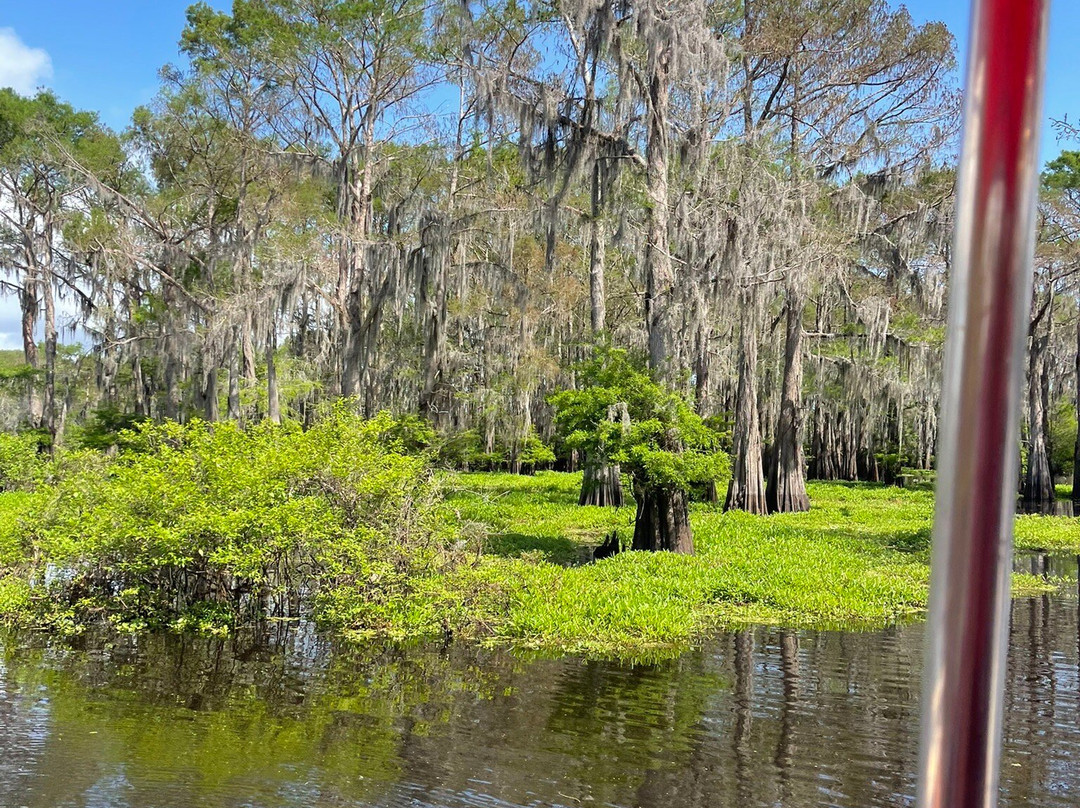 Atchafalaya Basin Landing & Airboat Swamp Tours-布里奥克斯桥必去景点