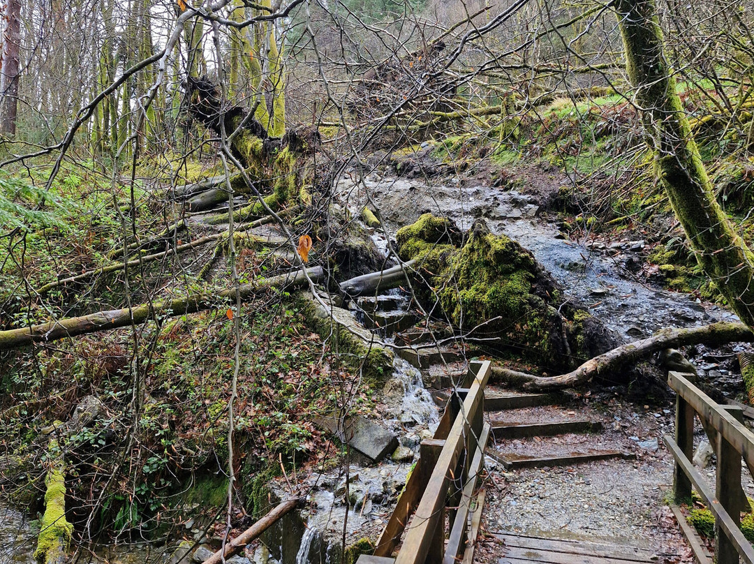 The Bishop's Glen-达农必去景点