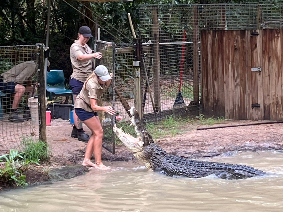Hartley's Crocodile Adventures-Wangetti必去景点