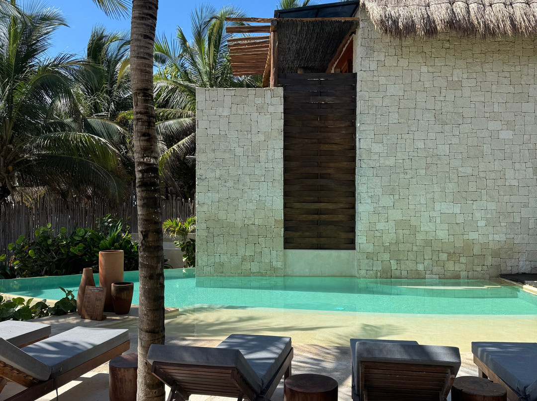 玛夏那比酒店主图