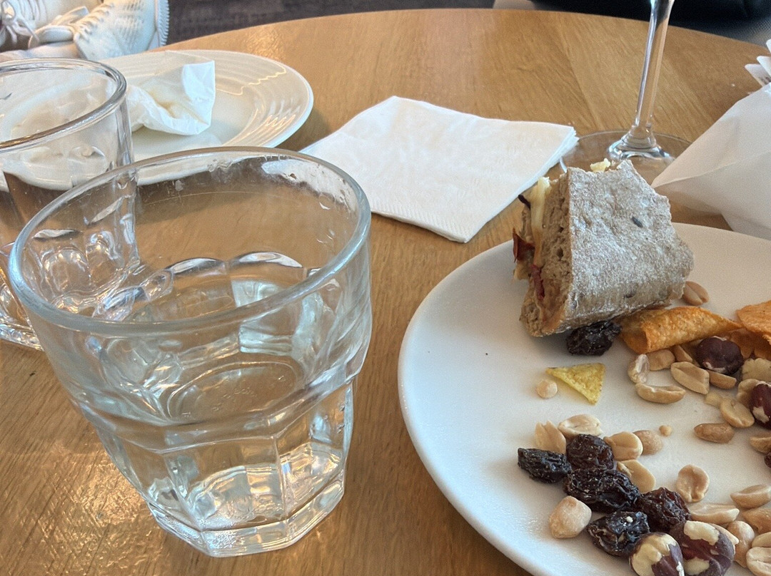 Plaza Premium Lounge (Non-Schengen Area, Departures, Mezzanine Floor, Terminal 2B)-布达佩斯必去景点