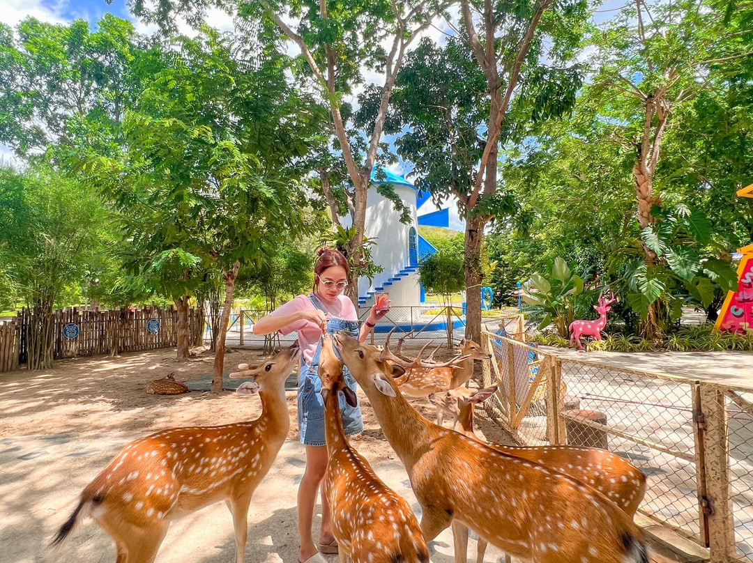 Veneto-愿拼县必去景点