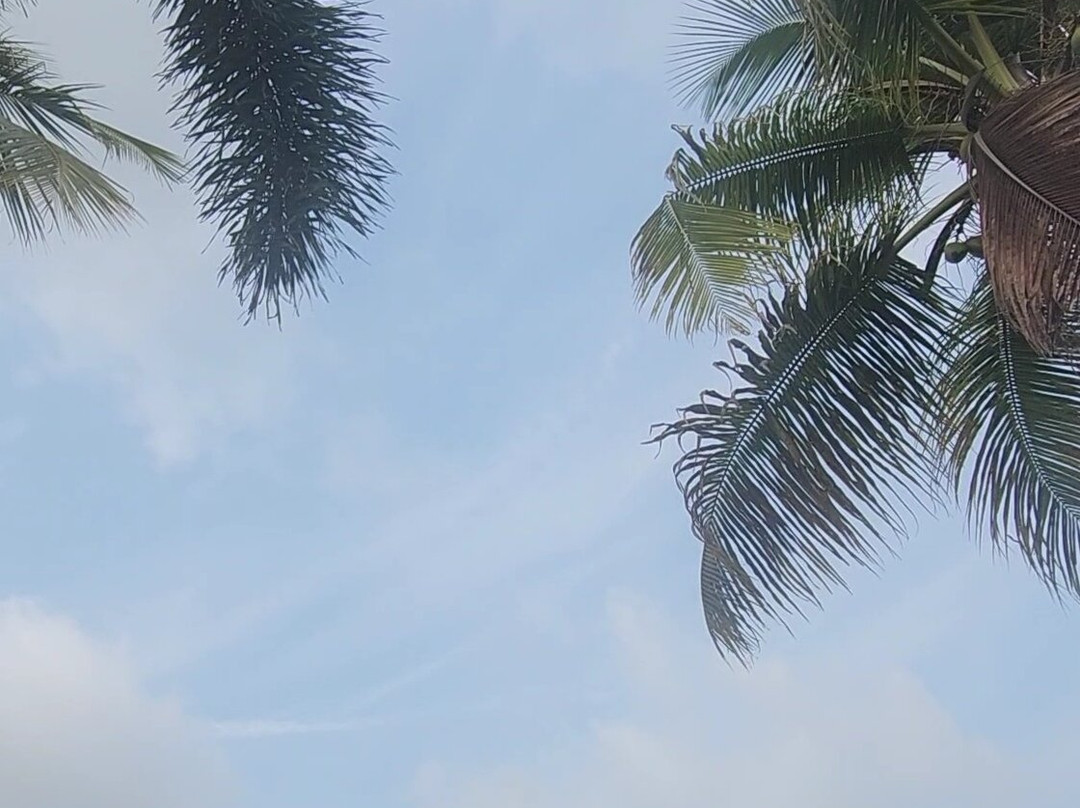 英利达海滩度假村主图