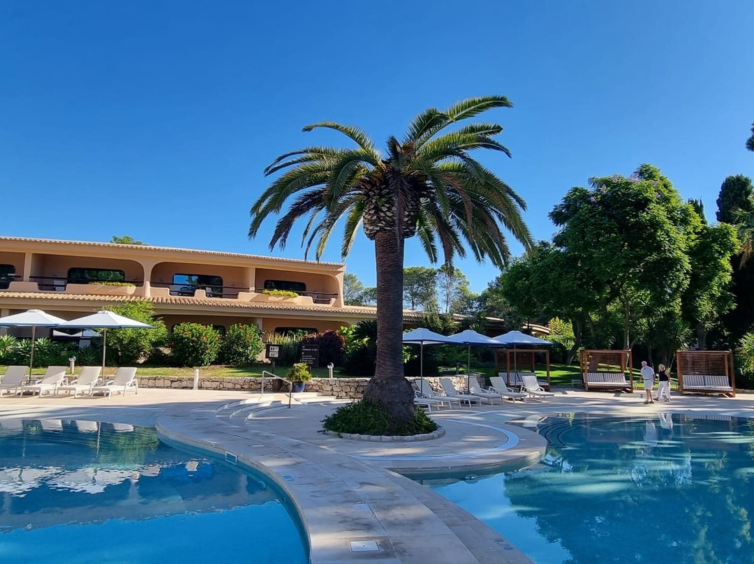 Drive in Motion - Automotive Events-Sargans必去景点