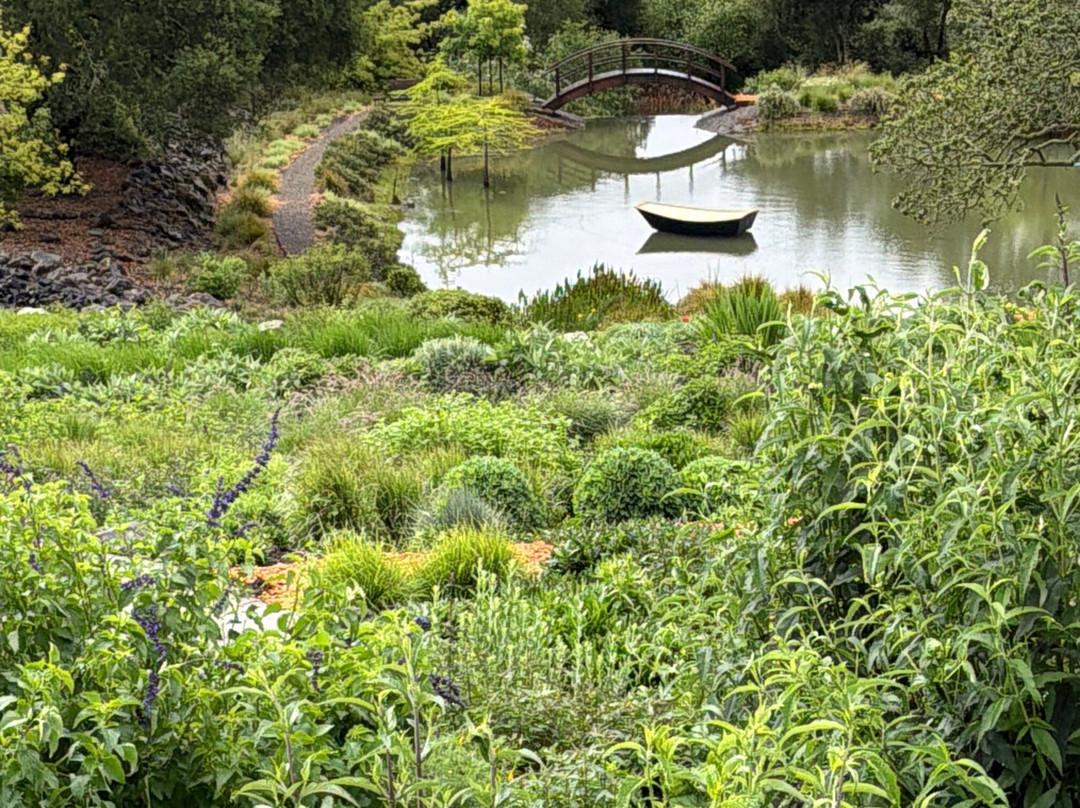 Coursey Graves Estate Winery-圣罗莎必去景点