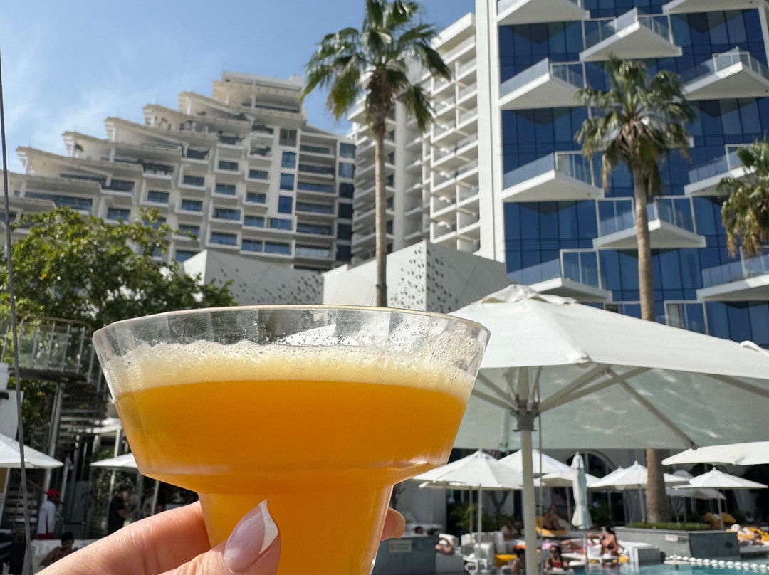 The Social Pool At Five Palm Jumeirah-迪拜酋长国必去景点