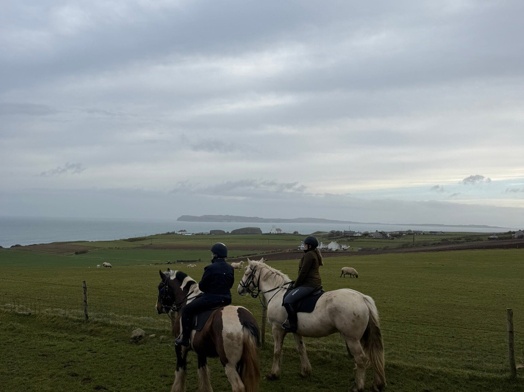Sheans Horse Farm-Armoy必去景点