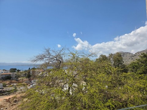培福克斯花园酒店-旅行者