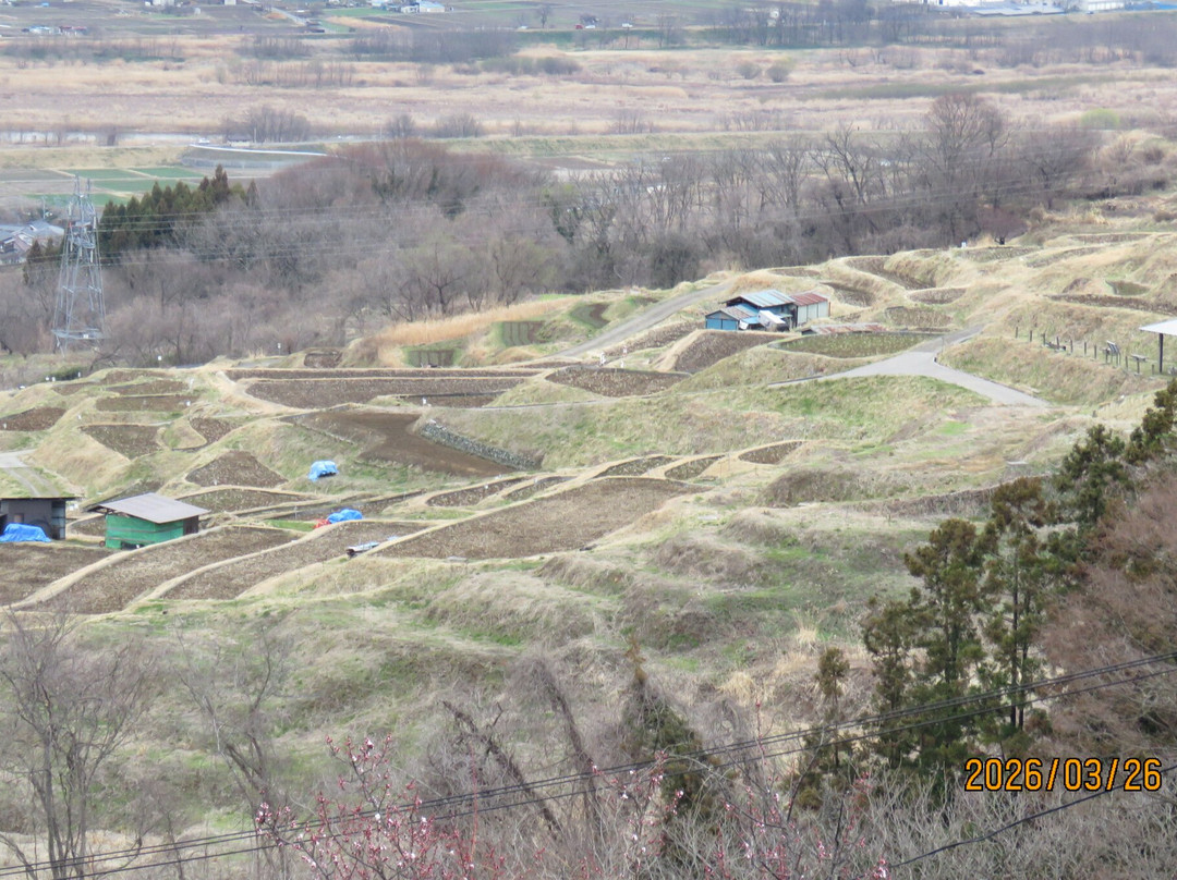 Obasute tanada (Terraced rice fields)-千曲市必去景点