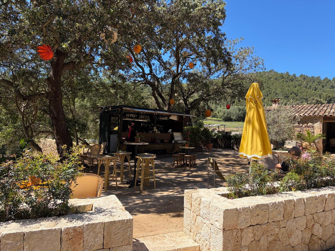 Bodega Terra Ión-Andratx必去景点
