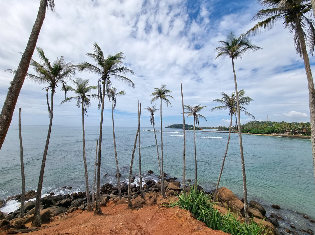 Coconut Tree Hill-美蕊沙必去景点