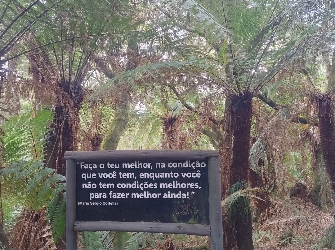 Descubra Floripa-弗洛里亚诺波利斯必去景点