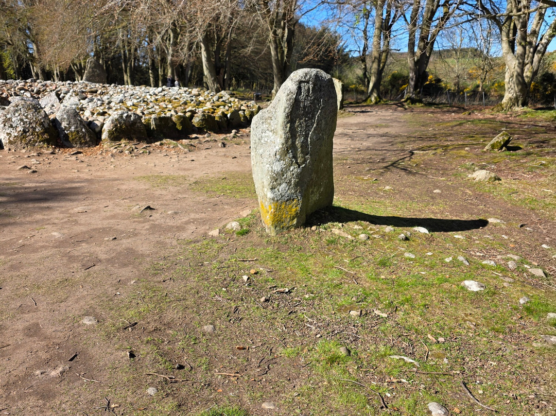Invergordon Shore Excursions and Tours-Invergordon必去景点