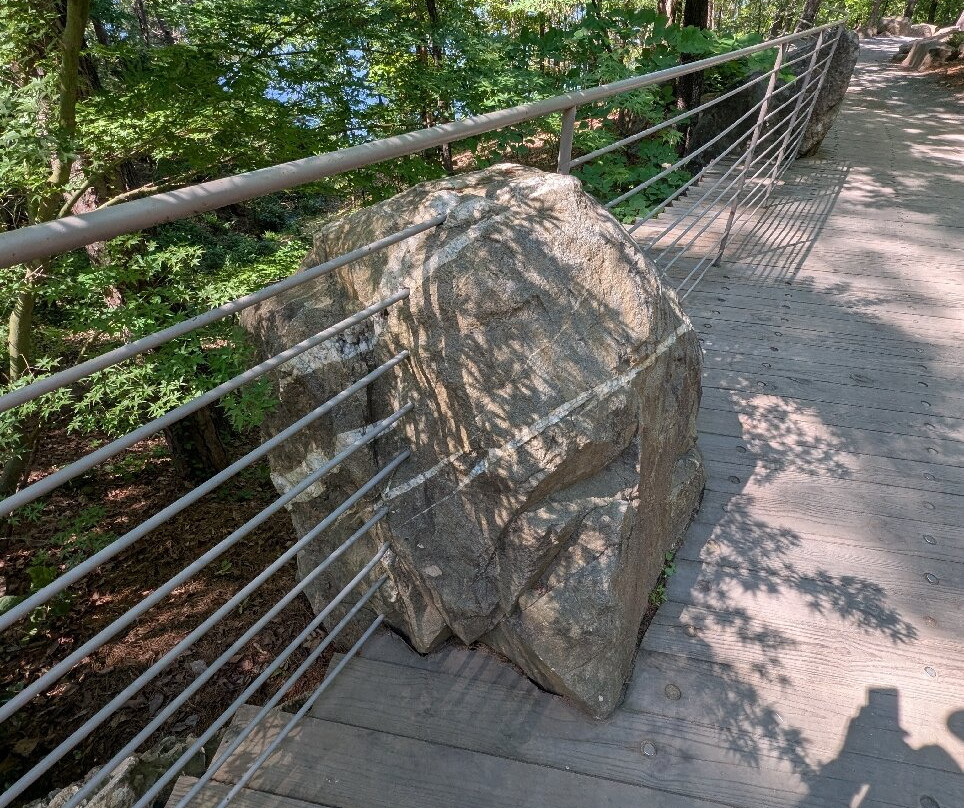 Garvan Woodland Gardens-温泉城必去景点