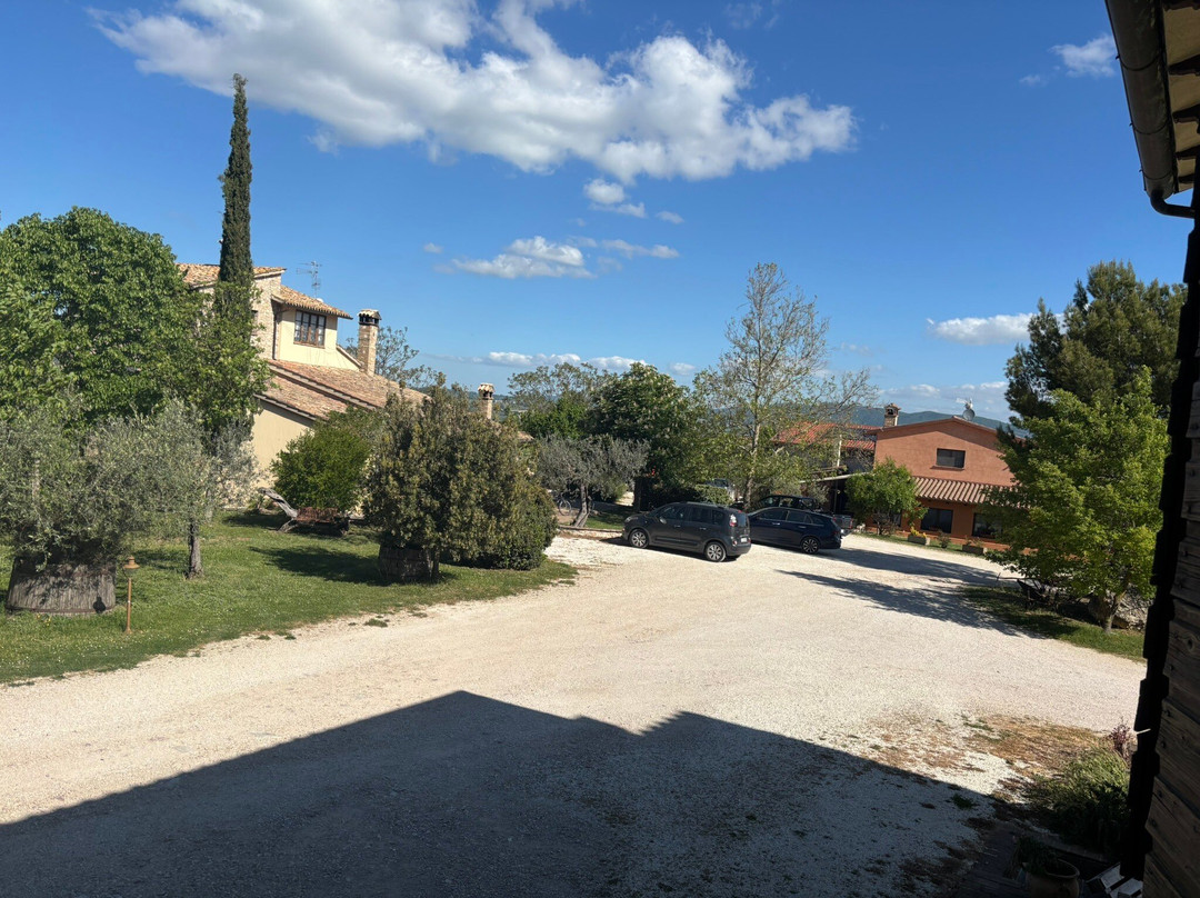 Fattoria Del Quondam主图