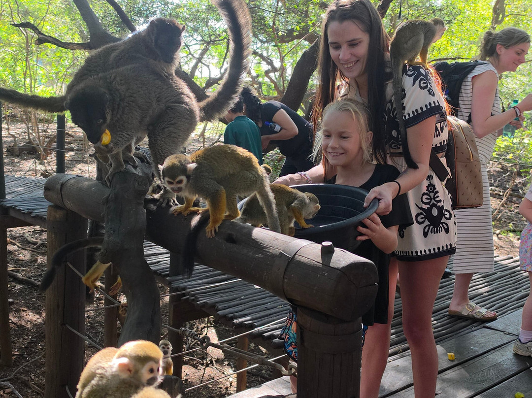 Bush Babies Monkey Sanctuary-哈特比斯普特必去景点