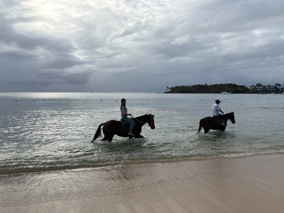 Maritim Equestrian Centre-巴拉克拉瓦必去景点