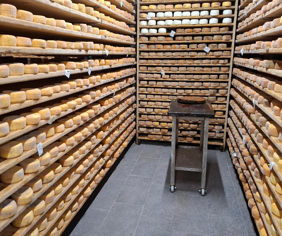 Azienda Agricola Lo Copafen-Chambave必去景点