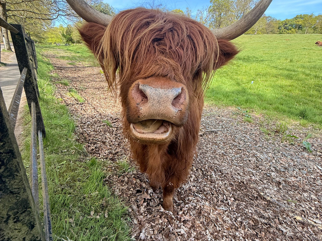 Braw Scottish Tours-格拉斯哥必去景点