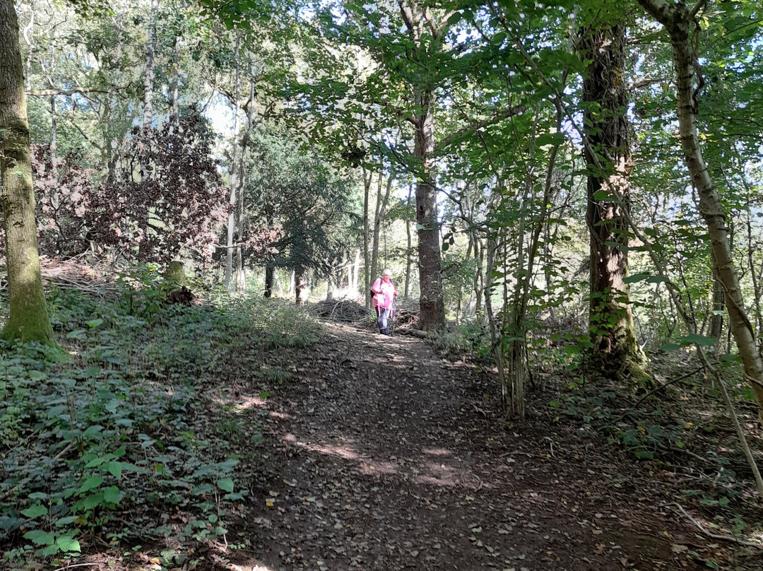 Arnside Knott-Arnside必去景点