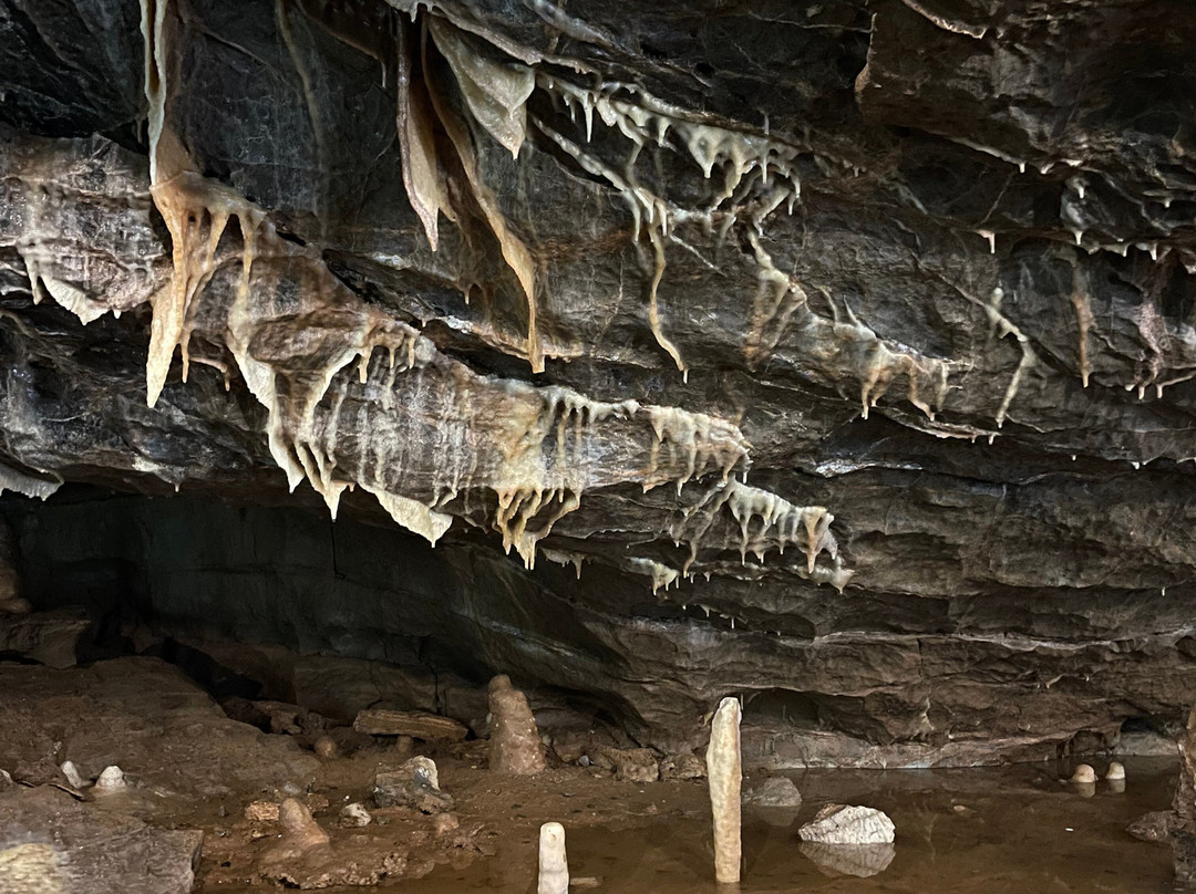 Cheddar Gorge & Caves-Cheddar必去景点