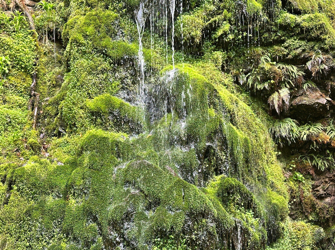 Big Burn Walk-Golspie必去景点