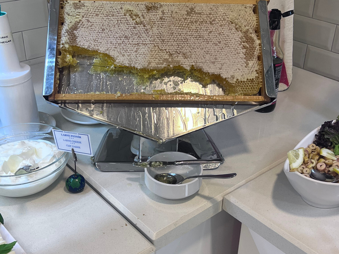 克列奥帕特拉罗密拉酒店-全包式主图