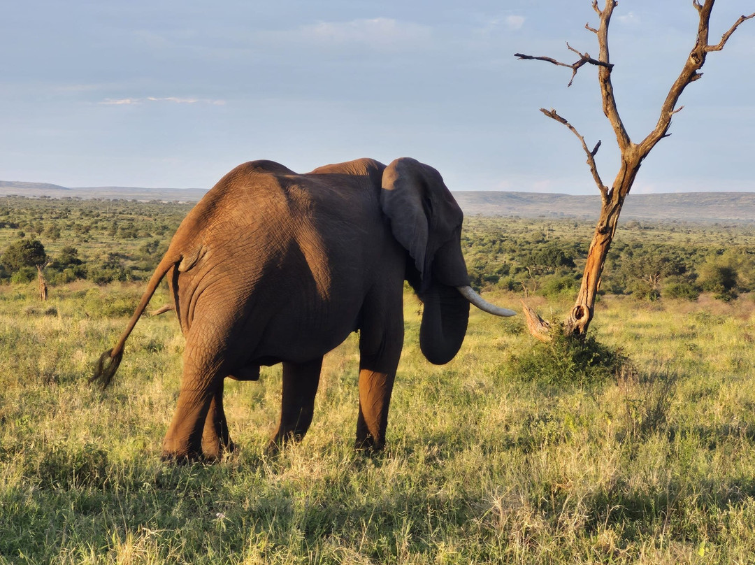 Southern Kruger Safaris-玛洛斯帕克必去景点
