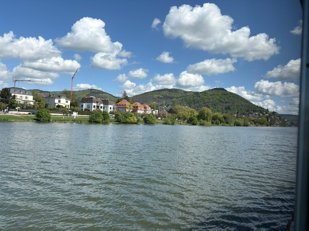 Neckar River-海德尔堡必去景点