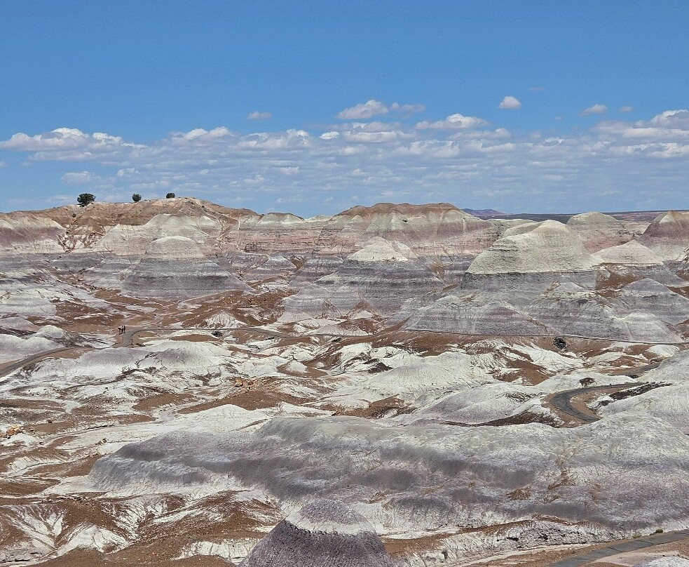 Painted Desert-石化林国家公园必去景点