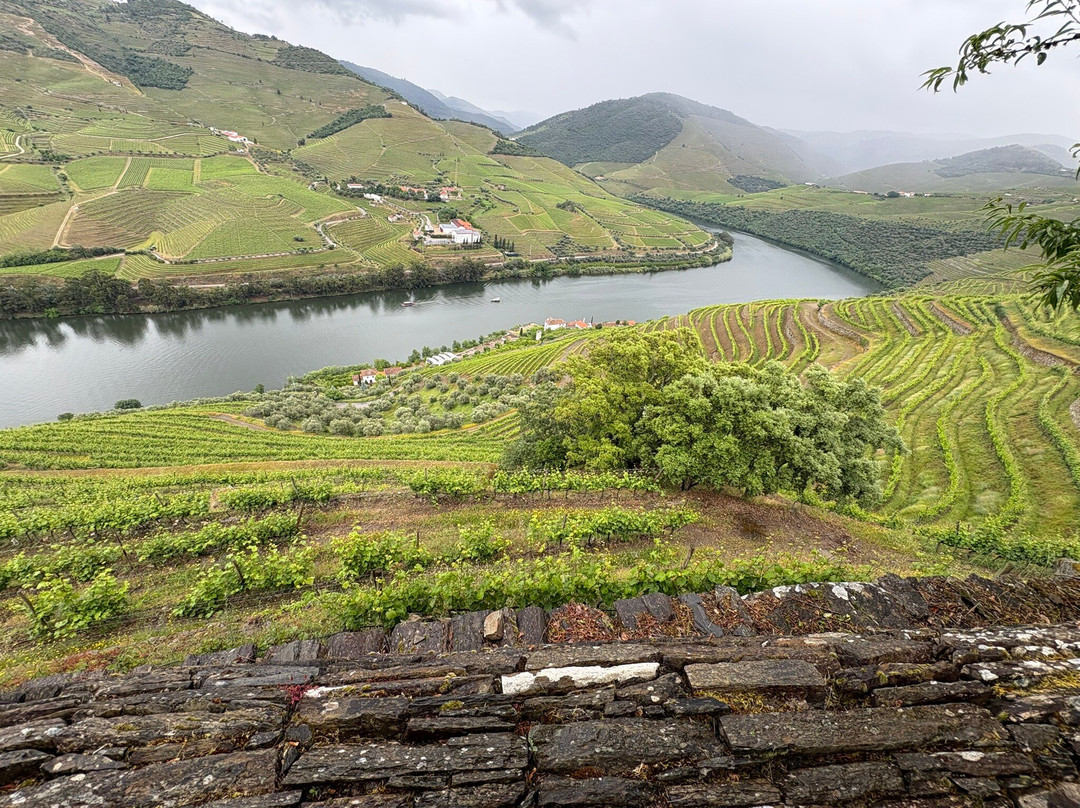 Quinta das Carvalhas-Pinhao必去景点