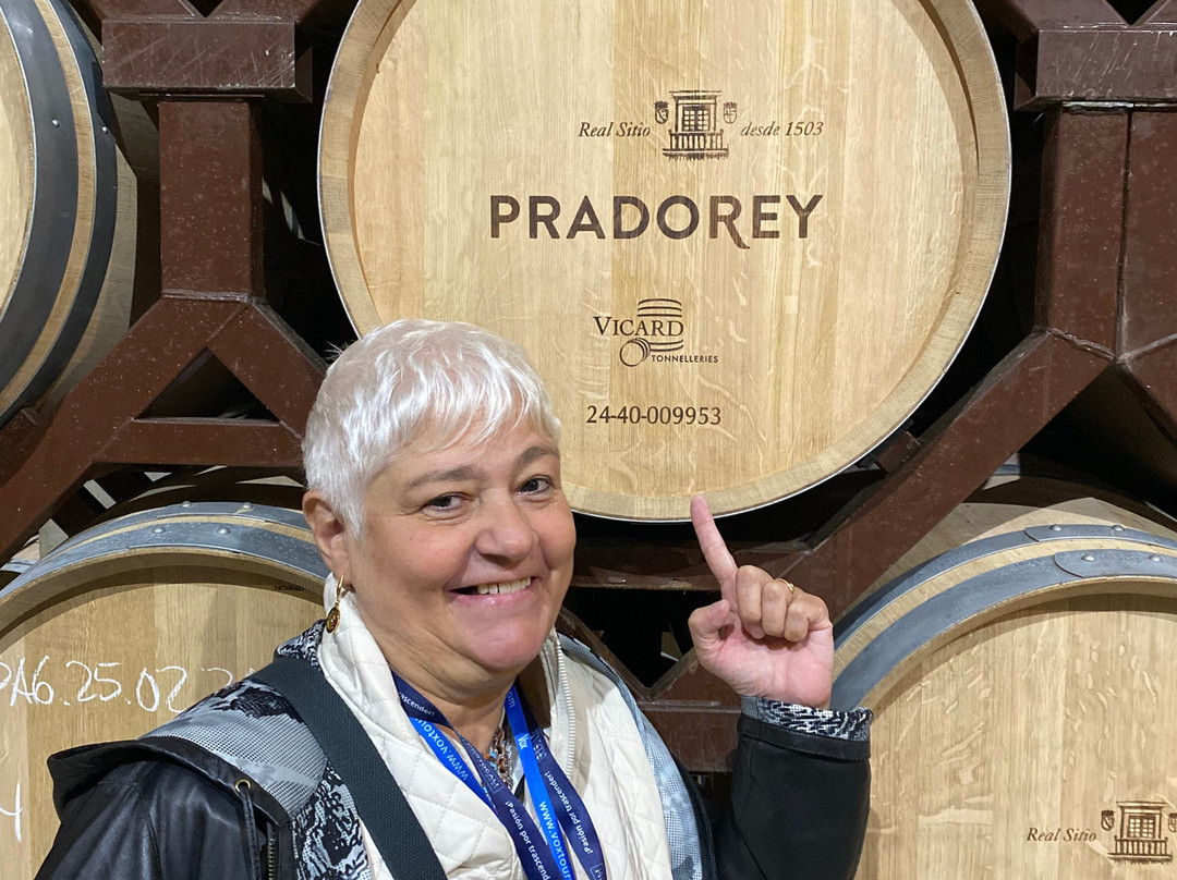 Bodegas Y Vinedos PradoRey-Gumiel Del Mercado必去景点
