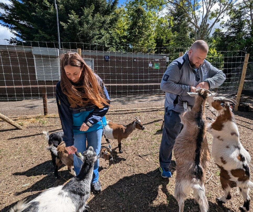 Greenacres Animal Park-Deeside必去景点