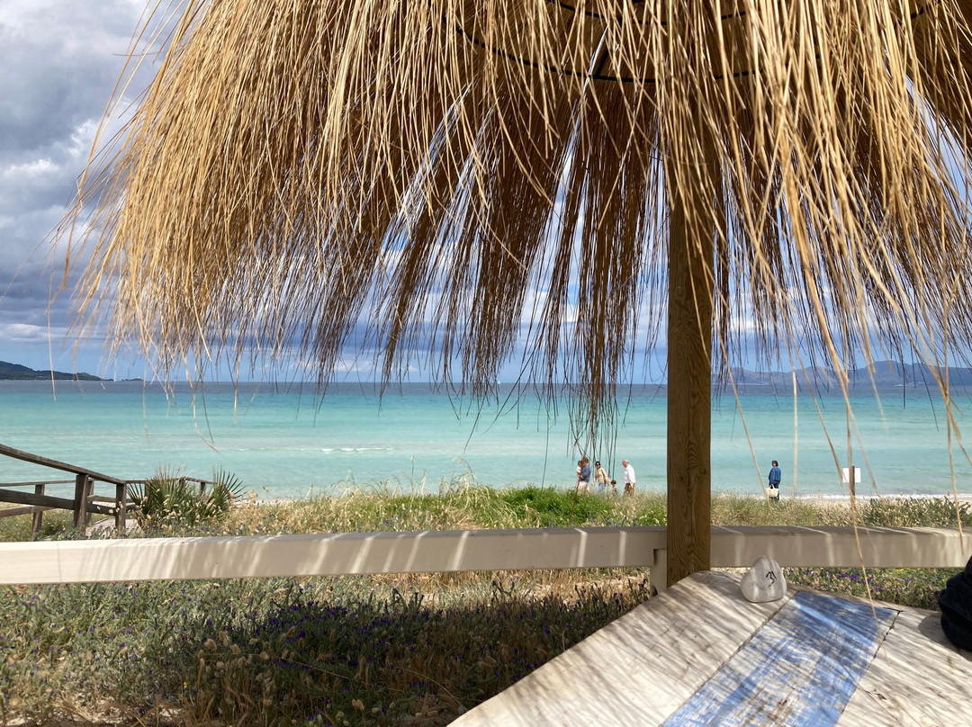 Muro Beach