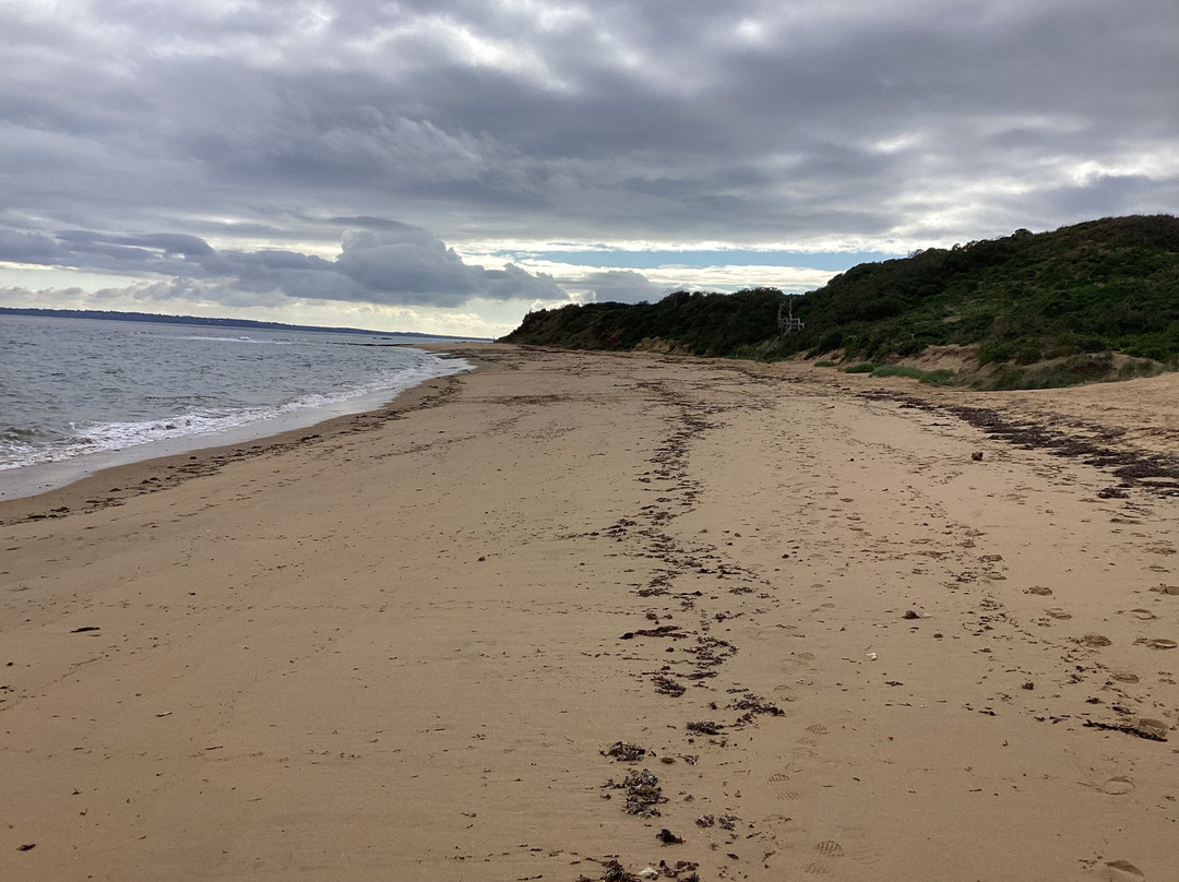 Ventnor Beach