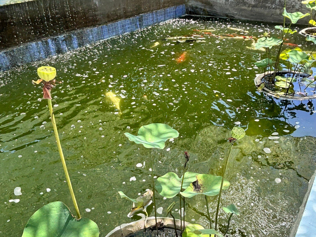 Glass Bridge Bali-Kemenuh必去景点
