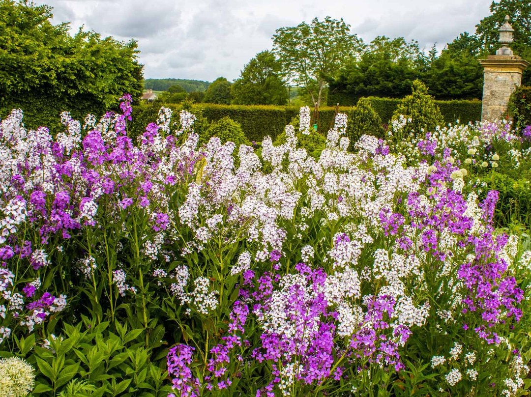 Lytes Cary Manor (National Trust)-Somerton必去景点