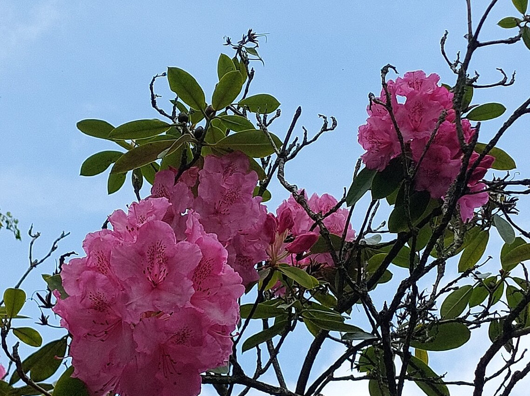 Brobury House Gardens and Cafe-赫里福德必去景点