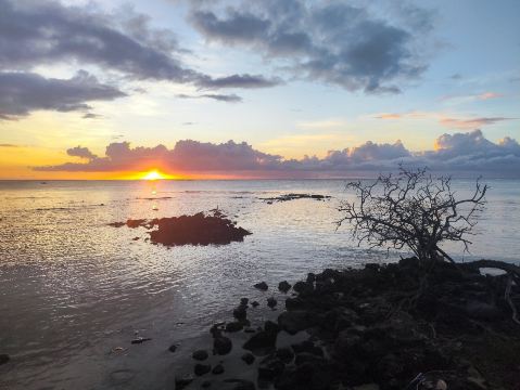 蒙乔伊喜海滩度假村-旅行者