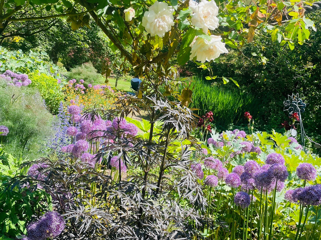 University of Leicester Botanic Garden-Oadby必去景点